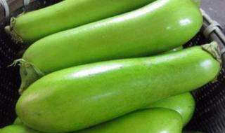 绿皮茄子是哪里产的 绿皮茄子是哪里产的